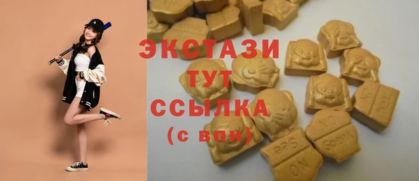 a pvp Абаза