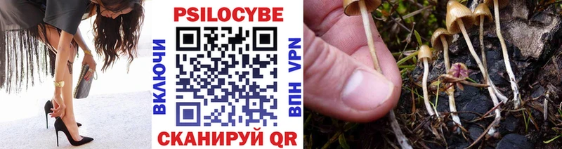 Псилоцибиновые грибы ЛСД  гидра ТОР  Щучье 