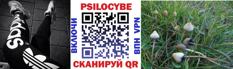 Псилоцибиновые грибы прущие грибы Щучье