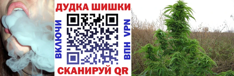 блэк спрут зеркало Щучье Бошки марихуана конопля